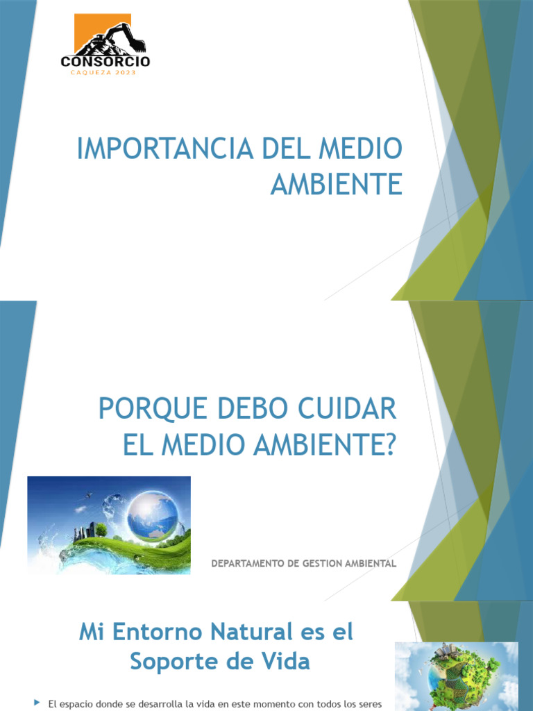 Importancia Del Medio Ambiente | PDF