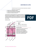 FIBROBLAST