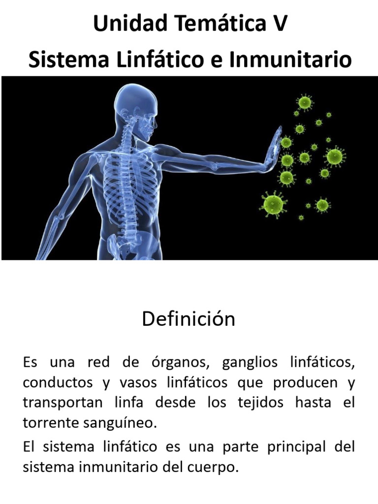 Ut V Sistema Linfatico E Inmune Pdf Sistema Linfático Anticuerpo