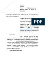 Demanda de Rectificacion de Areas y Linderos