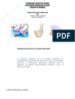 LESIONES TRAUMÁTICAS MENORES. INT FRACTURAS, ESGUIINCES Y LUXACIONES LCDA. M VÉLEZ DESTREZAS B 23 24