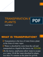 Chapter 7 Transpiration