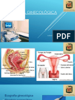 Ecografia Ginecologica
