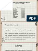 Jaringan Dan Sistem Manusia Struktur Jaringan Tubuh