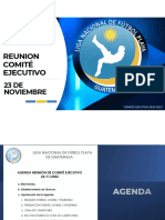 Presentación Reunion de Comite 23 de Noviembre