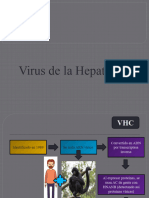 Virus Hepatitis C.