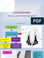 Embriología Periodonto, Encía, Unión Dentogingival .