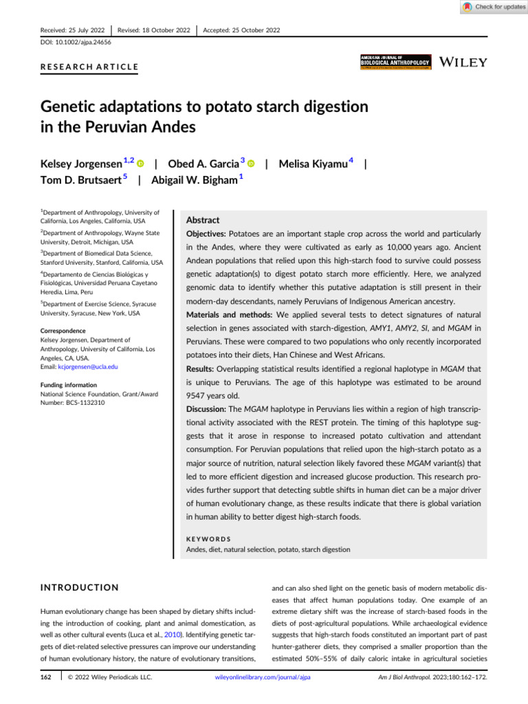 Adaptations To Potato Starch Digestion PDF Digestion Starch