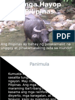 Ang Mga Hayop Sa Pilipinas (Animals in The Philippines-Filipino Version)