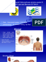 CBD Grevonds 1102019028