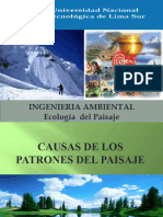 CAUSAS DE LOS PATRONES DEL PAISAJE - Clase 3 2017
