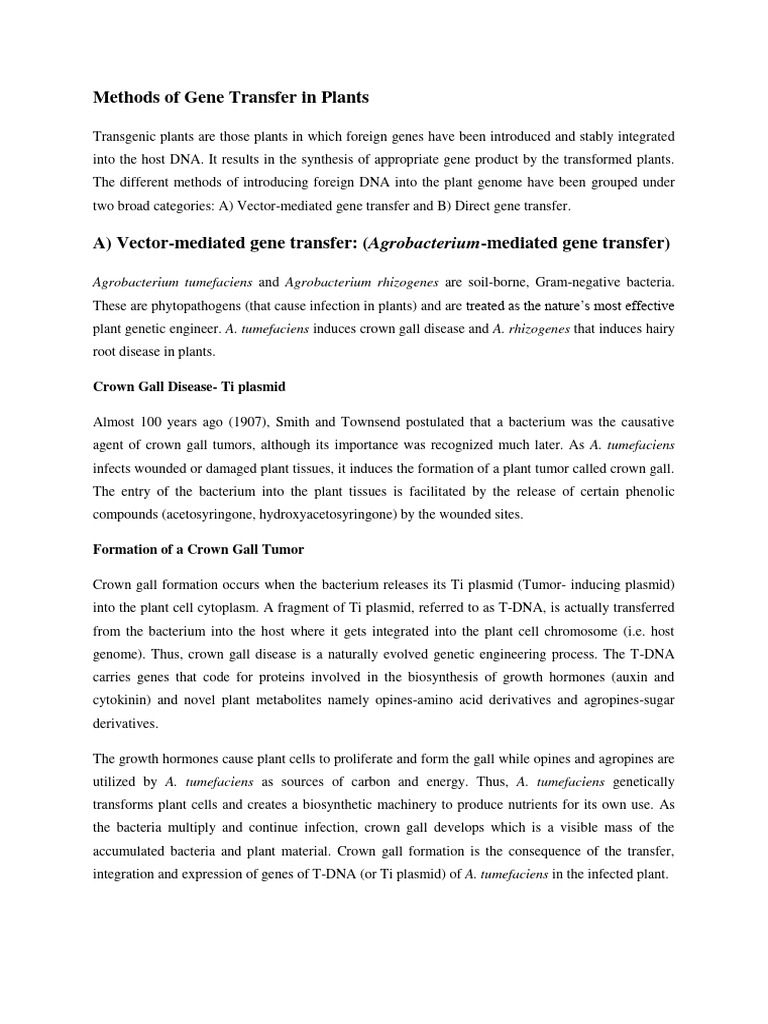 Plant Gene Transfer Techniques | PDF | Plasmid | Molecular Genetics