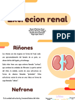 Excrecion Renal