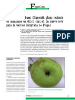 268 Abril 2015 FRUTALES Pseudococcus