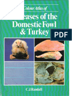 Atlas Diseases Domestic Fowl