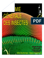 3 - Anatomie Generale Des Insectes