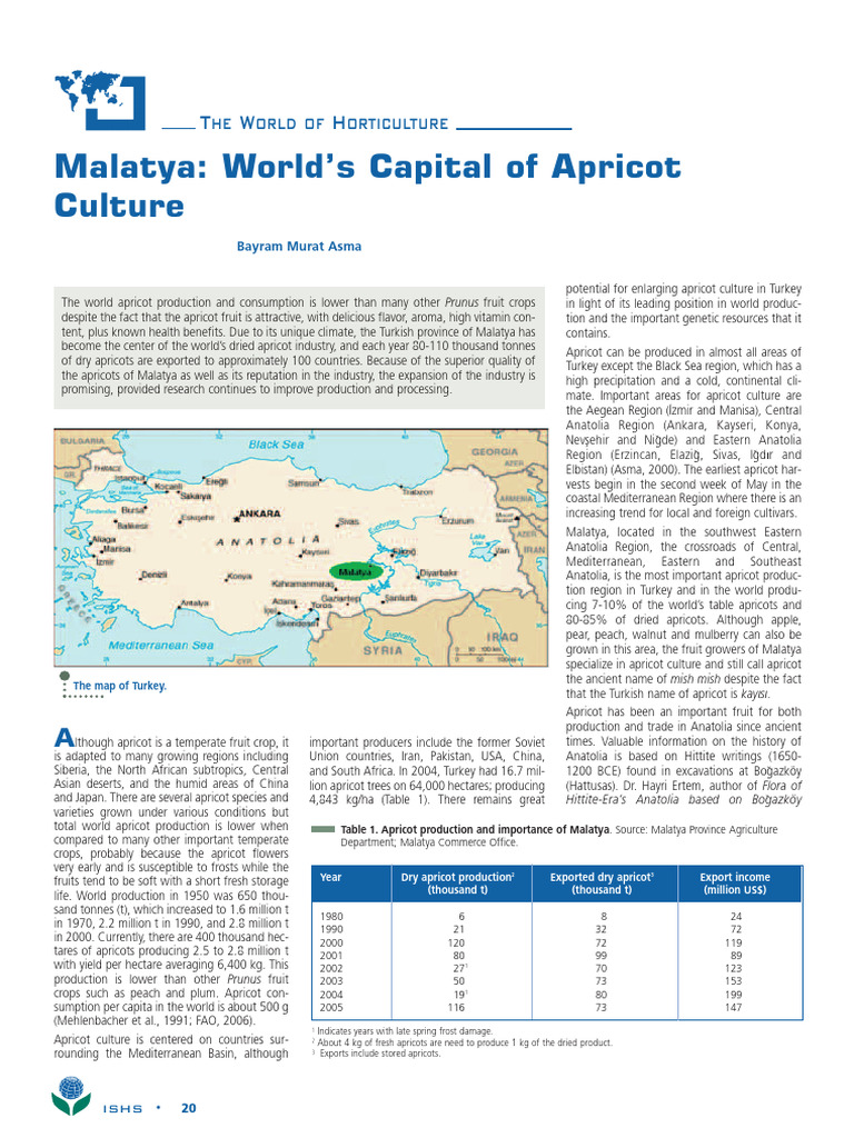 Global Apricot Production Insights | PDF | Apricot | Fruit