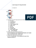 Kunci Jawaban Latihan Soal Pat Biologi