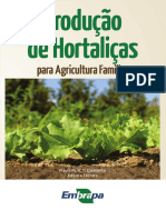 Producao-de-Hortalicas-para-a-Agricultura-Familiar