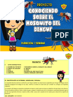 Proyecto Dengue Miss Milagros