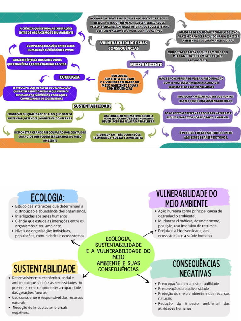 Mapa Mental Da Sustentabilidade | PDF