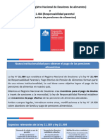 Presentación de PowerPoint REGISTRO NACIONAL DE DEUDORES Y RESPONSABILIDAD PARENTAL