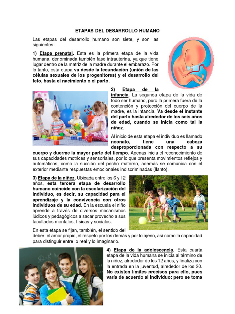 Siete etapas del desarrollo humano | PDF | Adultos | Juventud