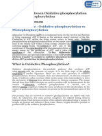 Difference Between Oxidative Photophosphorylation and Photophosphorylation