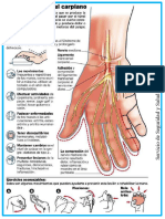 Boletin Tunel Carpiano