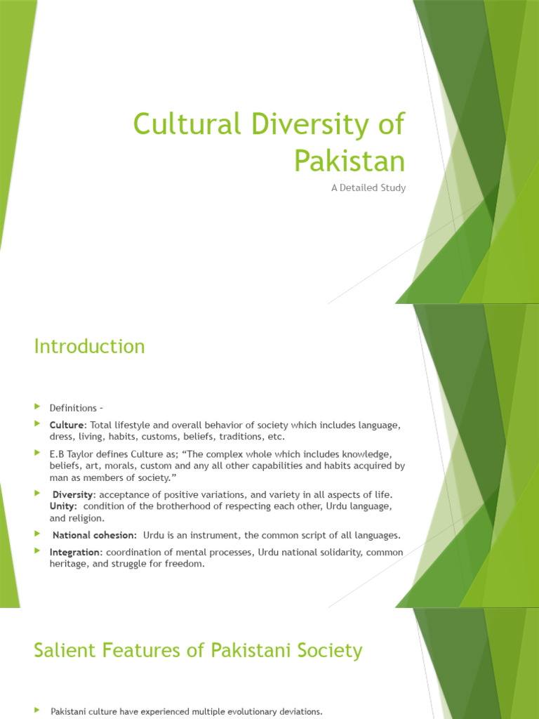 Cultural Diversity in Pakistan Explained | PDF | Religion & Spirituality