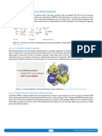 Regulation of Gluconeogenesis