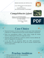 Campylobacter Jejuni