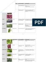 Catalogo Plantas