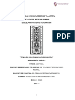 Anatomía Musculo Revision