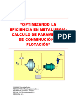 Informe 3 Metalurgia Extractiva Daniela Rojas