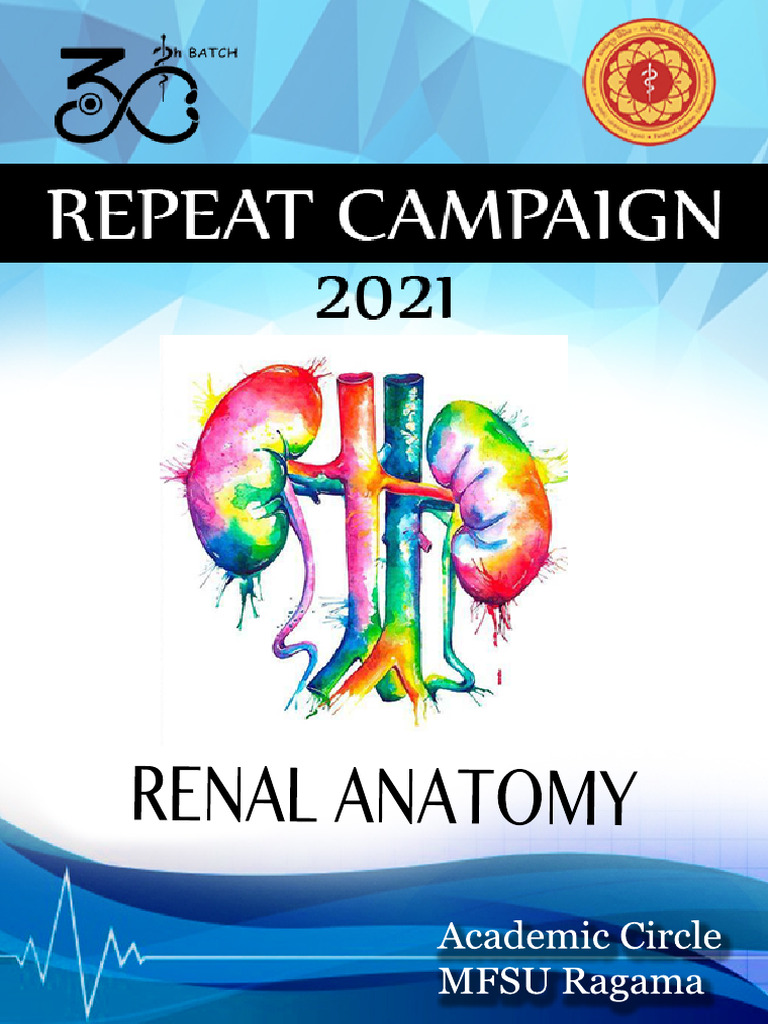 gabapentin renal handbook