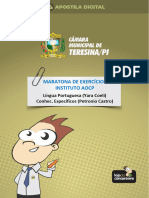 Maratona de Exercícios Instituto Aocp: Língua Portuguesa (Yara Coeli) Conhec. Específicos (Petronio Castro)