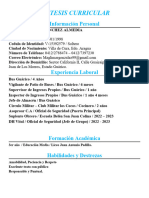 Sintesis Curricular: Información Personal