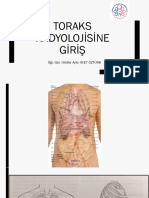 Donem 4 Gogus Hastaliklari Staji Radyolojiye Giris Dersi PDF 1