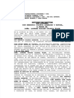 PDF Colonia Ique