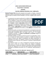 Apuntes Ejecuciones Especiales Colectivas y Casacion (Interciclos)