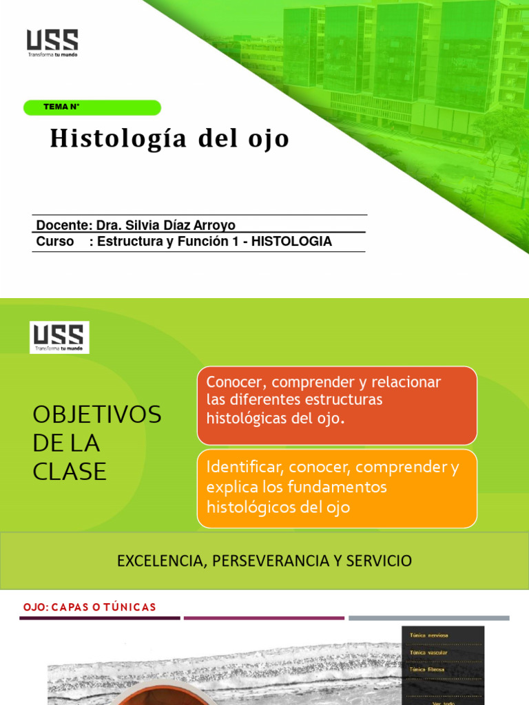 Sentido Ojo Pdf