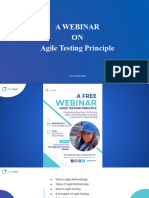 Agile Testing Principle - WEBINAR