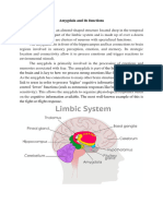 Lecture - Amygdala and Its Functions