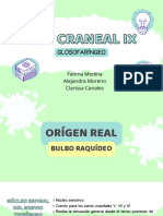 Par Craneal IX