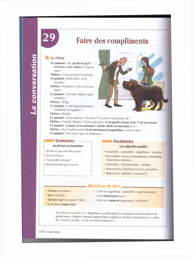 Faire Des Compliments | PDF