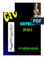 CFC - Miología Ms 5