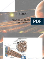 Fisiopatologia de Higado e Ictericia