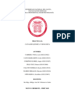 PRACTICA 01 CATALISIS QUIMICA Y BIOLOGICA (Imprimir)