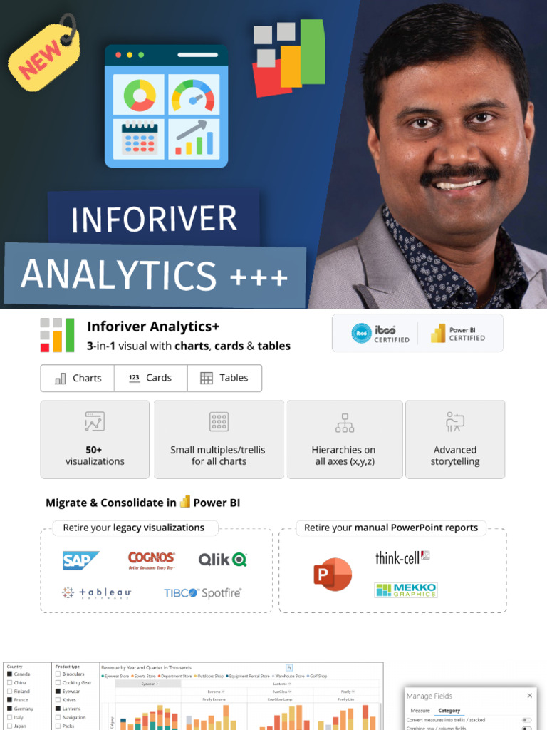 InfoRiver Analytics | PDF
